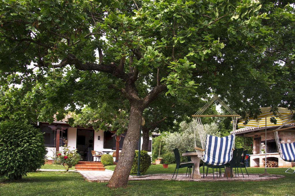 Sergo Porec