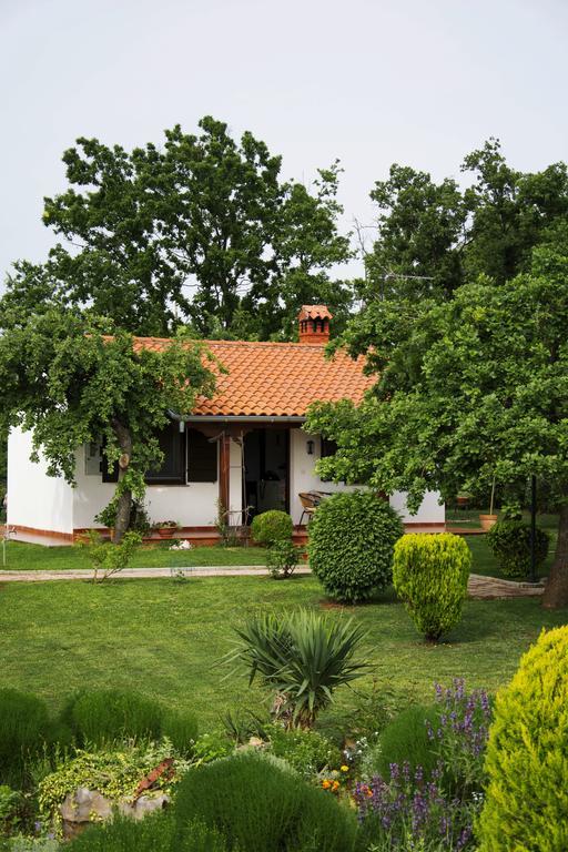 Sergo Holiday home Porec