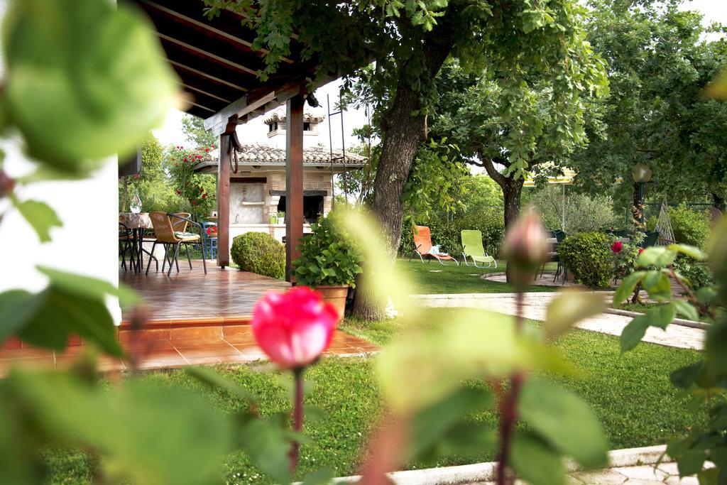 Sergo Porec