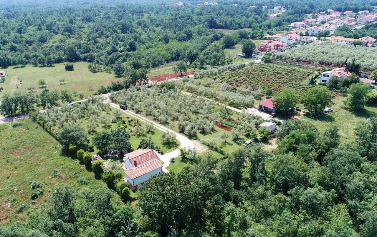 Sergo Porec