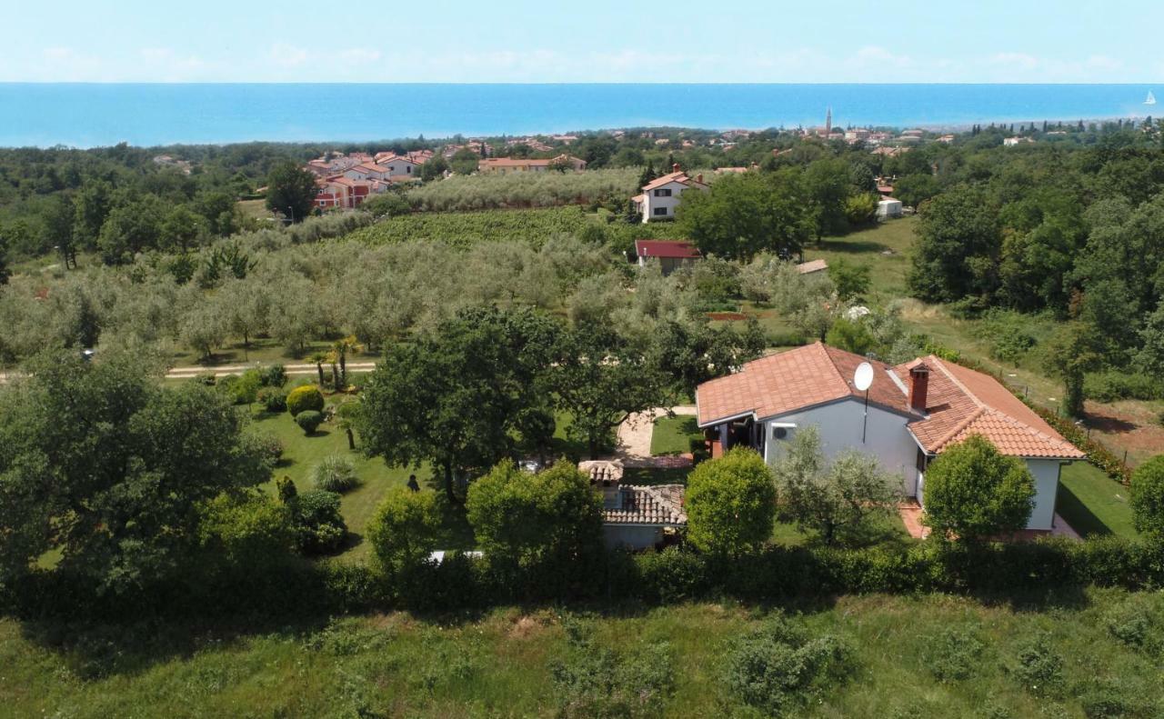 Sergo Porec